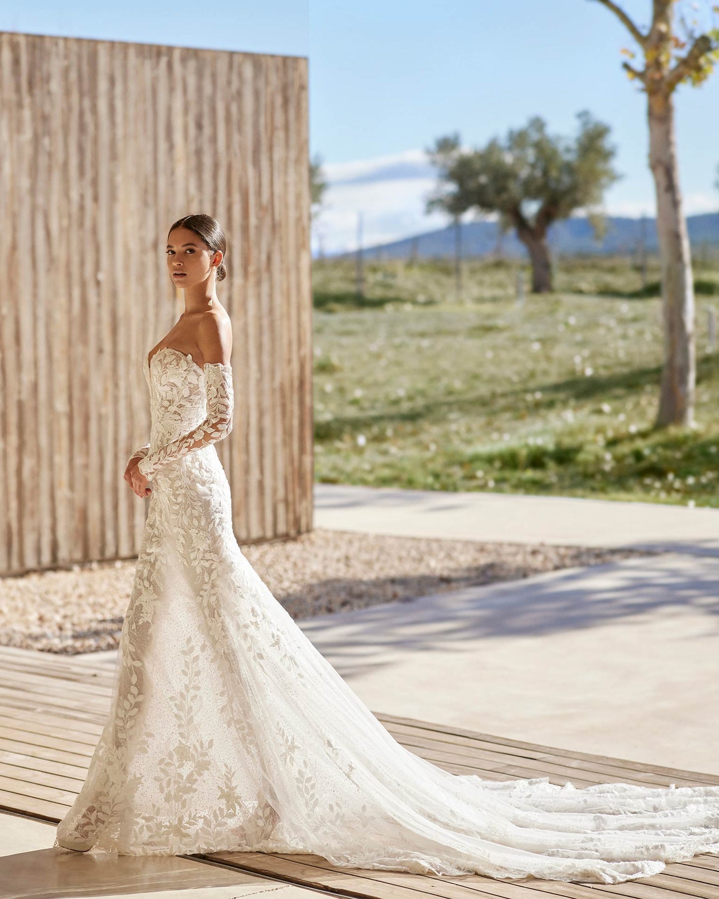 Rosa Clara Alzir