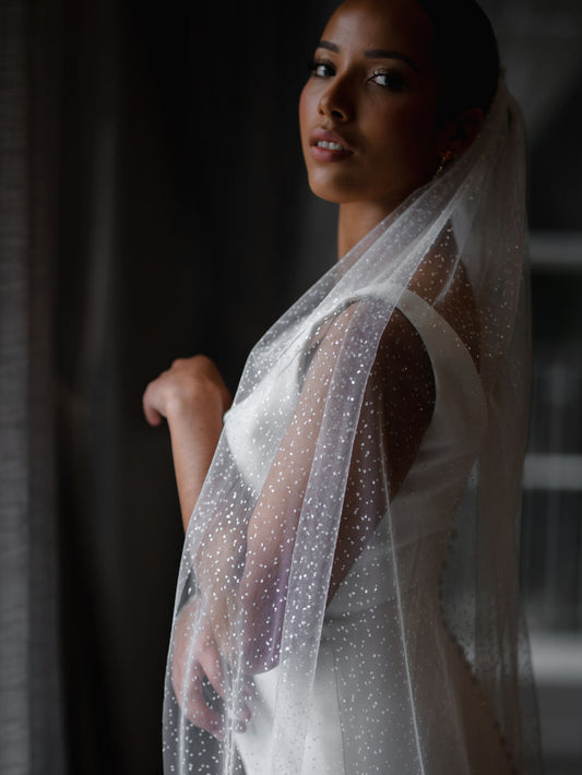 Linzi Jay Sparkle Tulle Wedding Veil